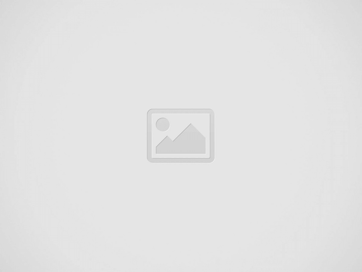 casinobudva 203 Giriş Adresi – Güncel Giriş